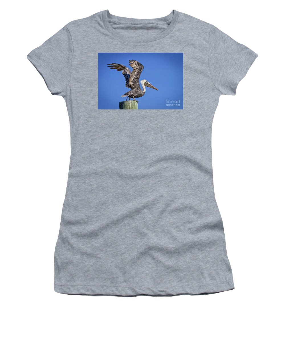 Brown Pelican Women's T-Shirt featuring the photograph Taking Flight by Ronald Lutz