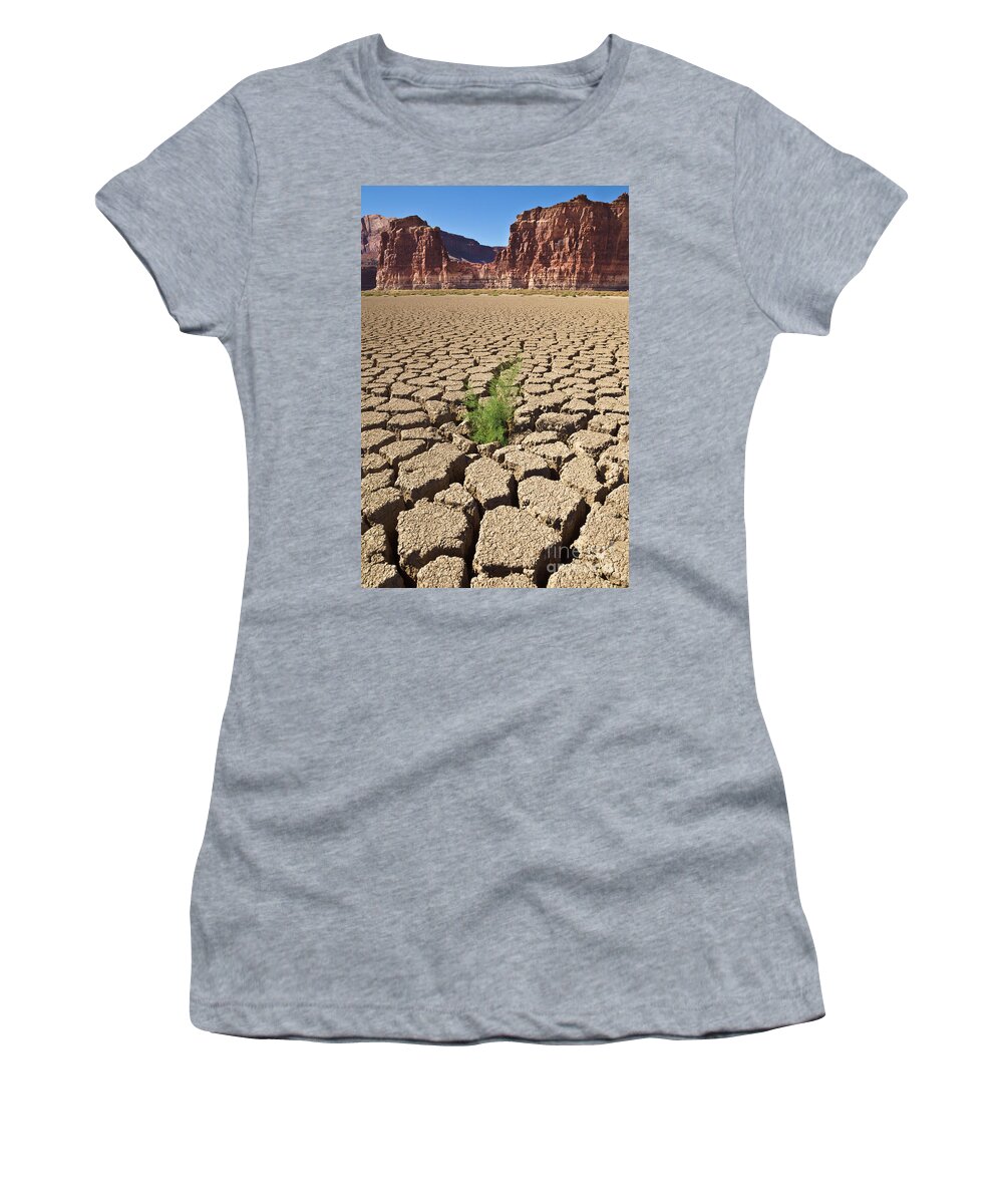 00559227 Women's T-Shirt featuring the photograph Tamarisk In Dry Colorado River by Yva Momatiuk John Eastcott