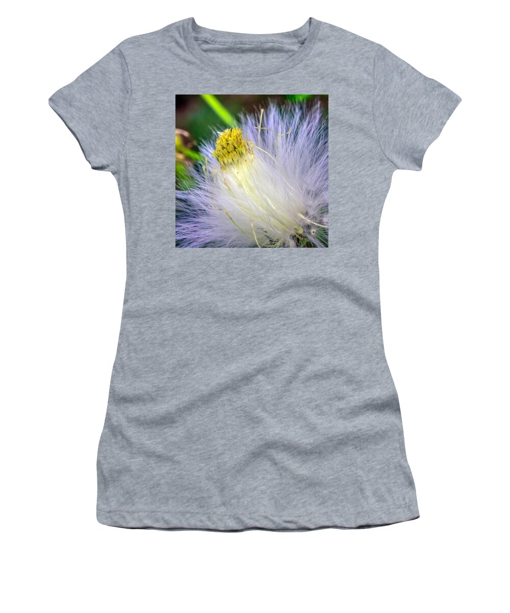 Art Women's T-Shirt featuring the photograph Taraxacum by Rob Sellers