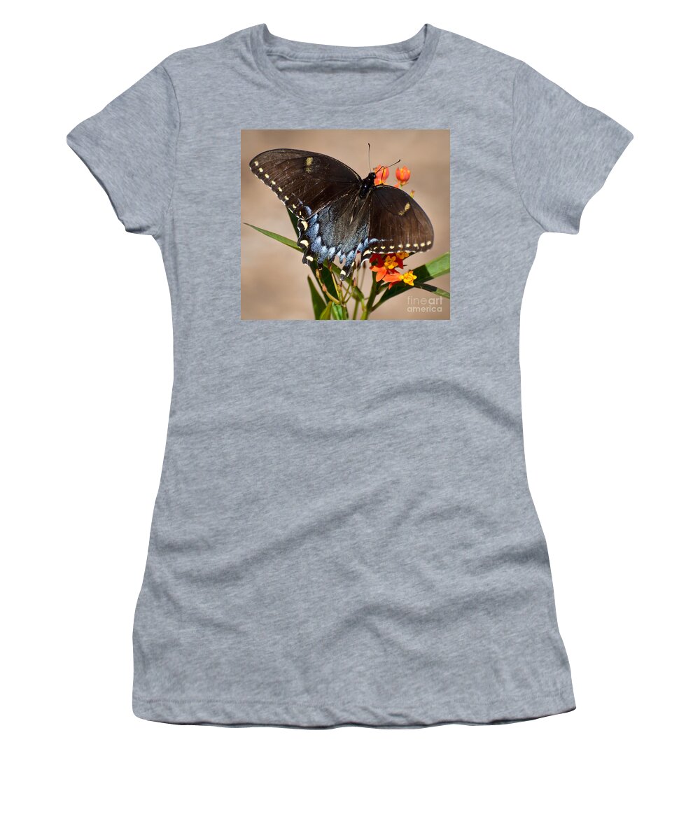 Butterfly Women's T-Shirt featuring the photograph Tattered Tails by Kerri Farley