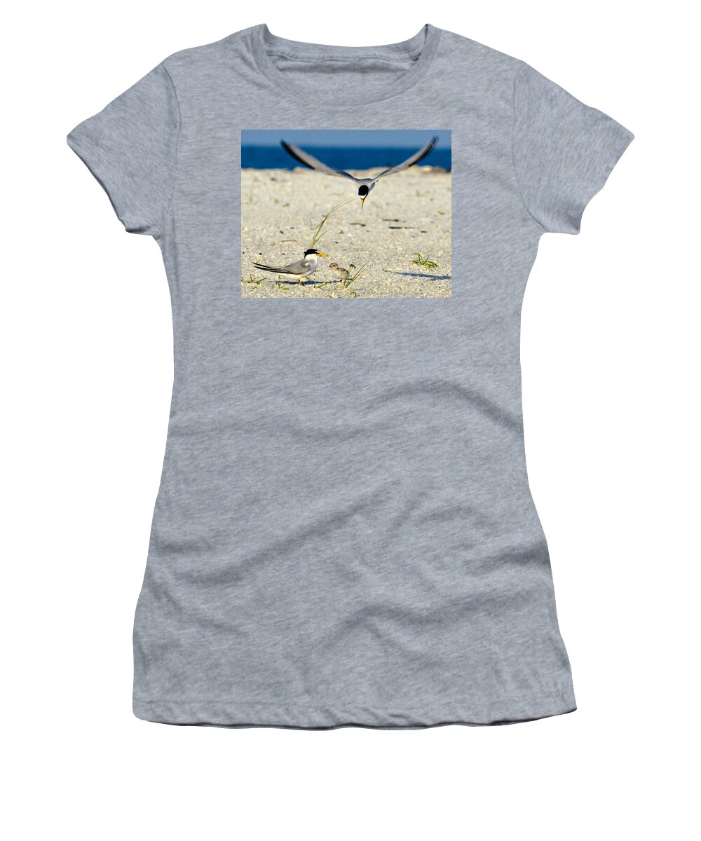 Least Tern Women's T-Shirt featuring the photograph Tern Over by AnnaJo Vahle