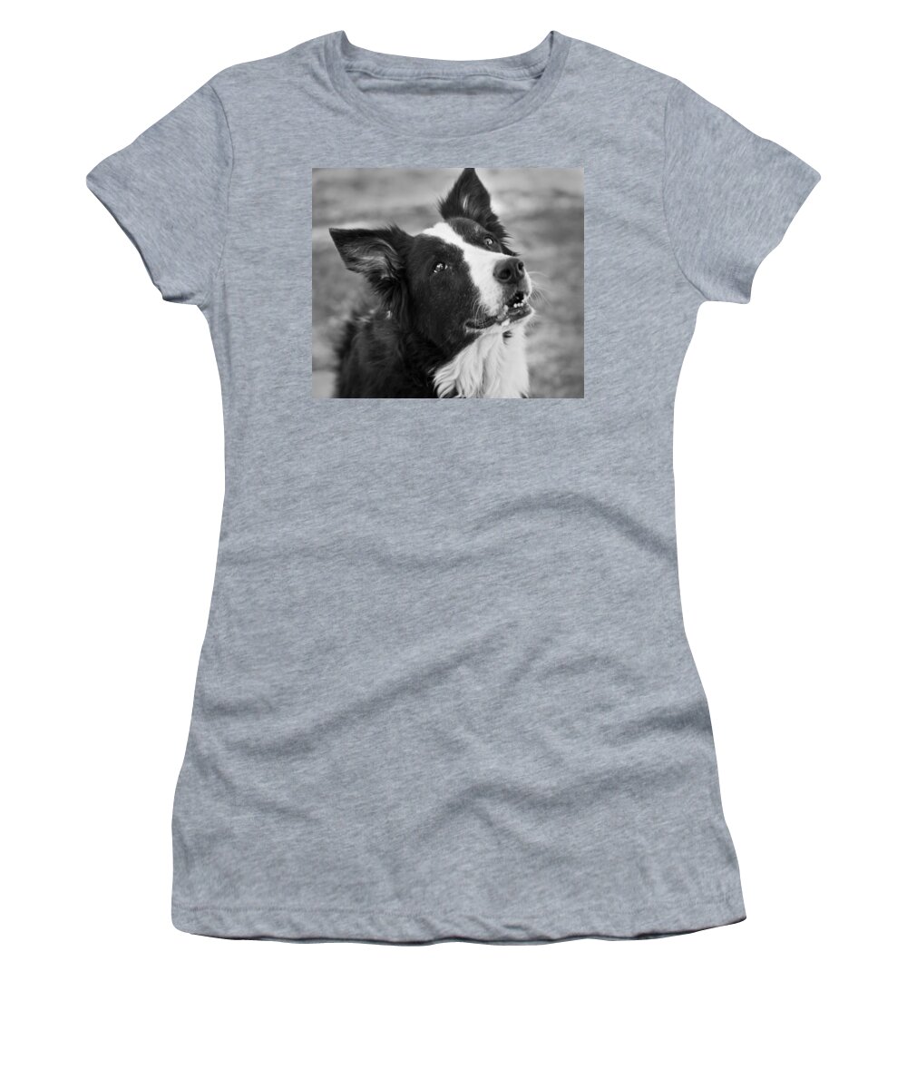 Border Collie Women's T-Shirt featuring the photograph Tessie 9 by Rich Franco