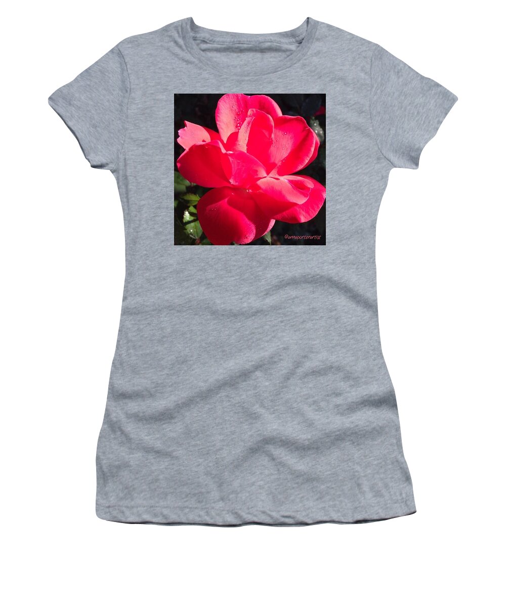Annasgardens Women's T-Shirt featuring the photograph That Morning Glow #red #rose In My by Anna Porter