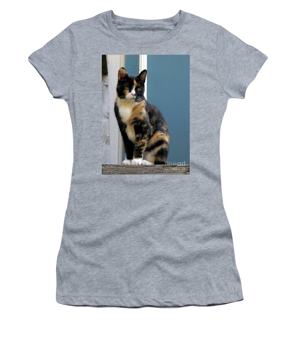 Cat Women's T-Shirt featuring the photograph The Art Of Watching by Rory Siegel