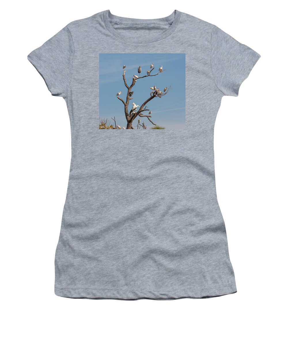 Bird Women's T-Shirt featuring the photograph The Bird Tree by John M Bailey