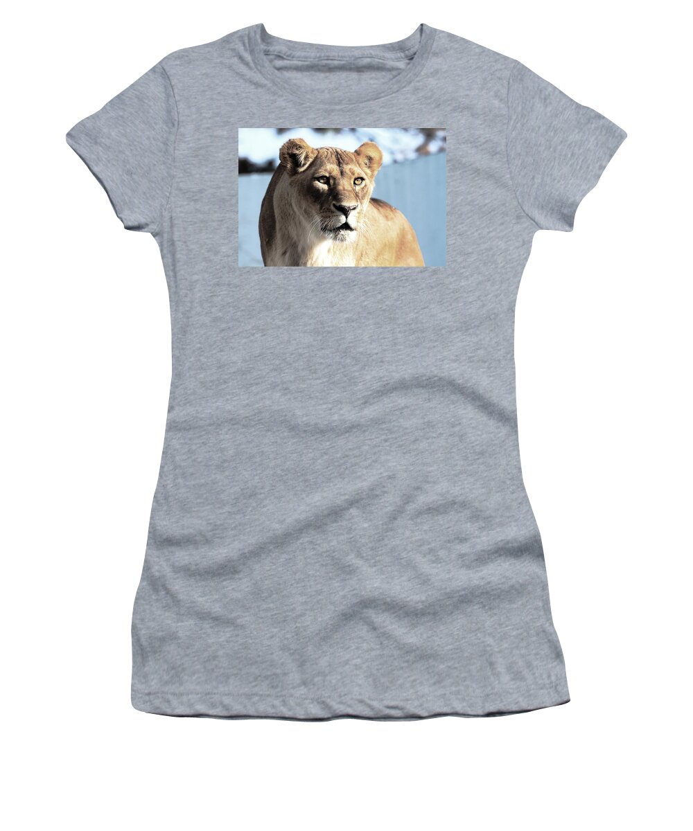 Lioness Women's T-Shirt featuring the photograph The Cold Ogle - Could Not Take My Eyes Off by Ramabhadran Thirupattur