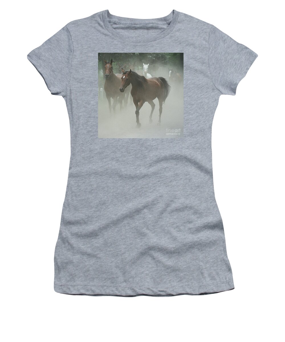Arabian Horse Women's T-Shirt featuring the photograph The daughters of a Desert by Ang El