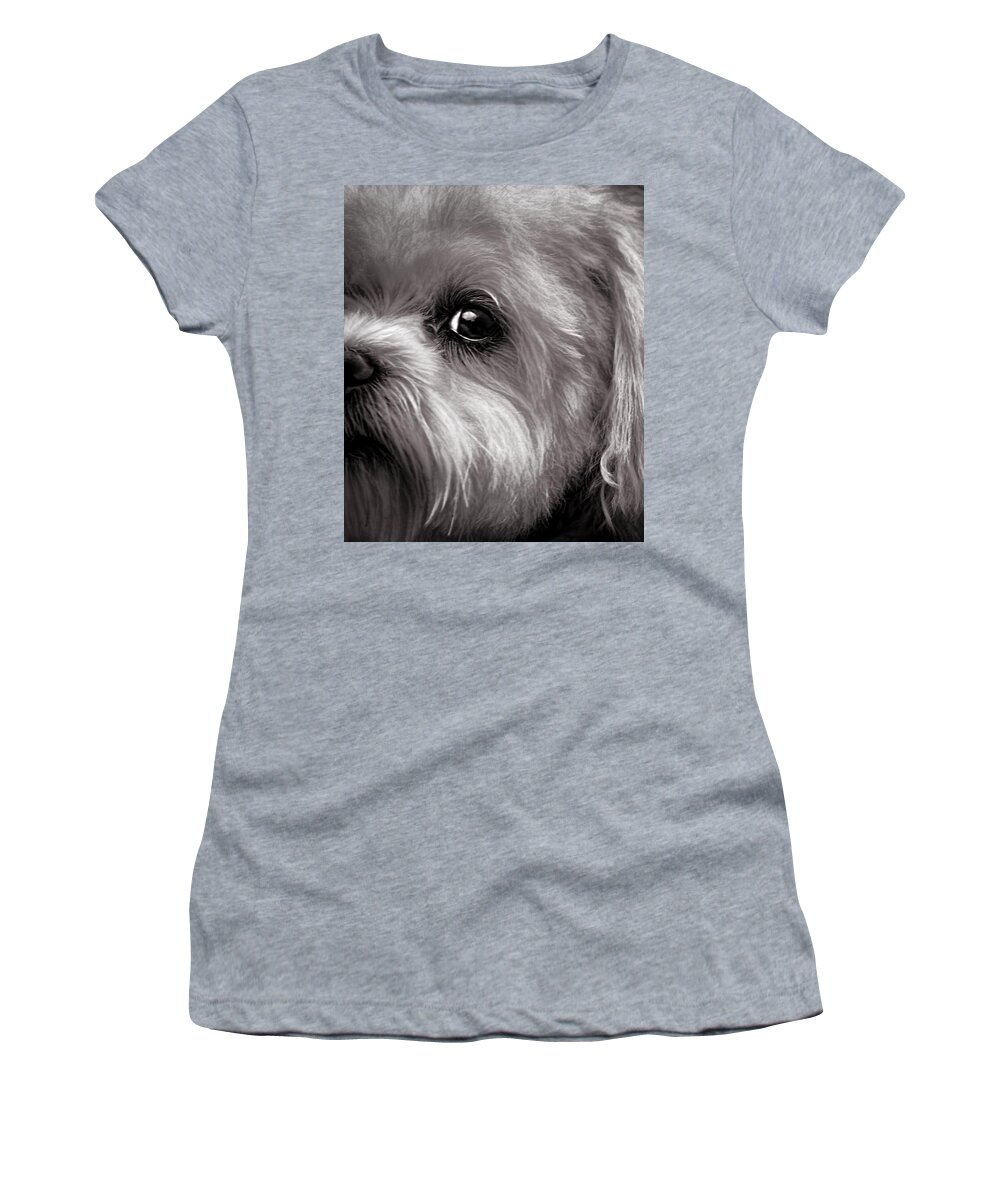 Dog Women's T-Shirt featuring the photograph The Dog Next Door by Bob Orsillo