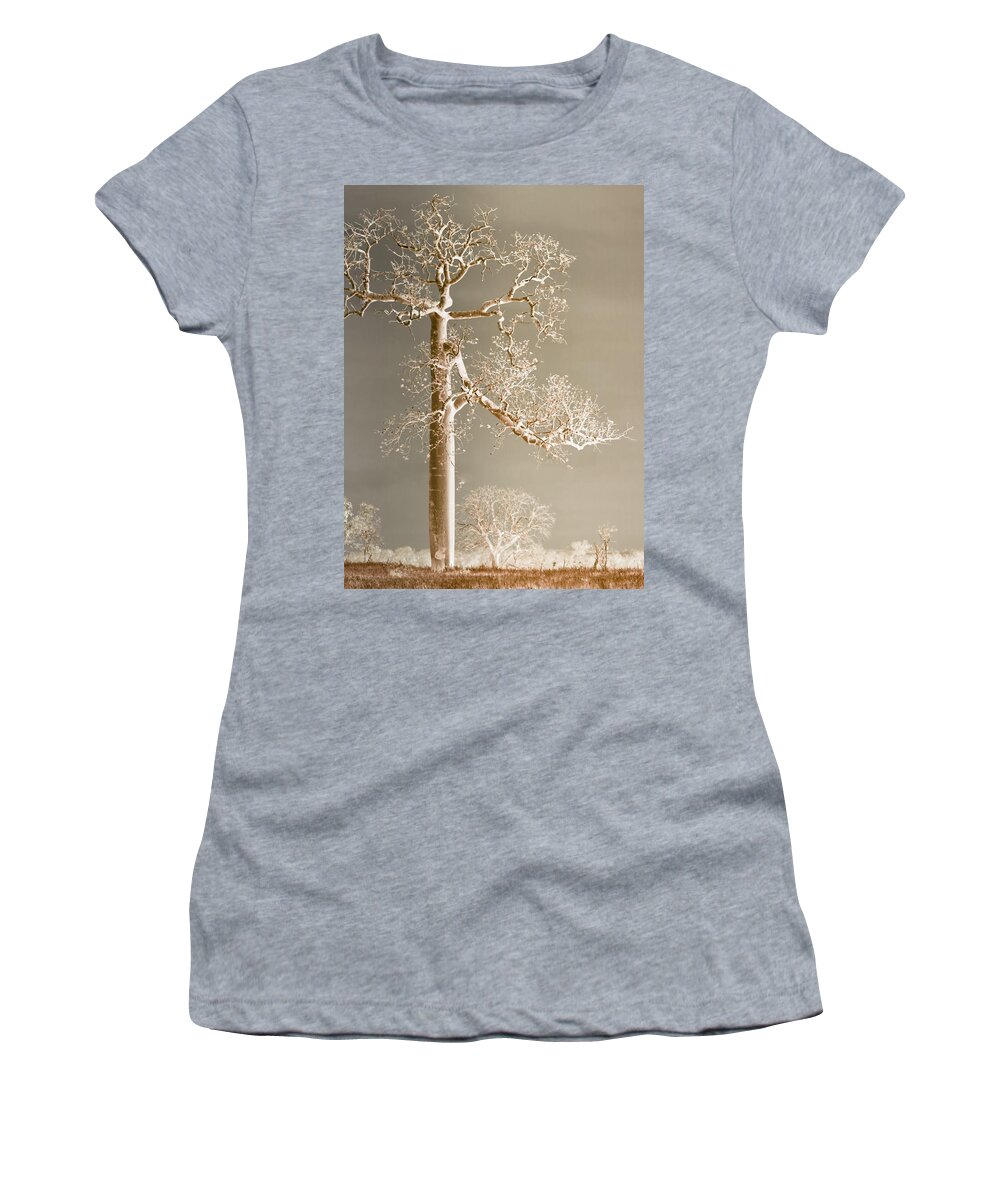 Landscapes Women's T-Shirt featuring the photograph The Dreaming Tree by Holly Kempe