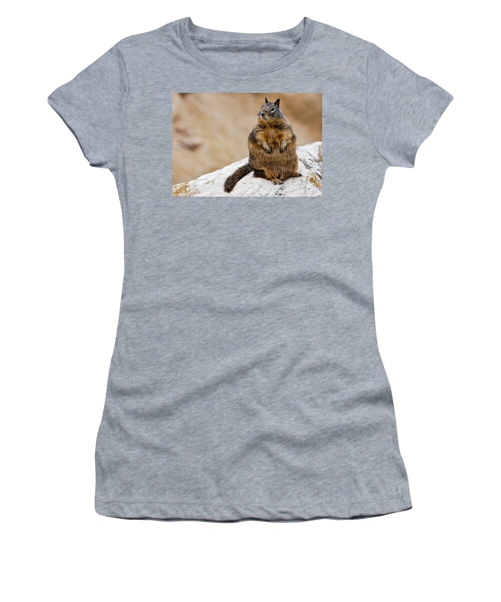 Animal Women's T-Shirt featuring the photograph The Godfather by Shane Kelly