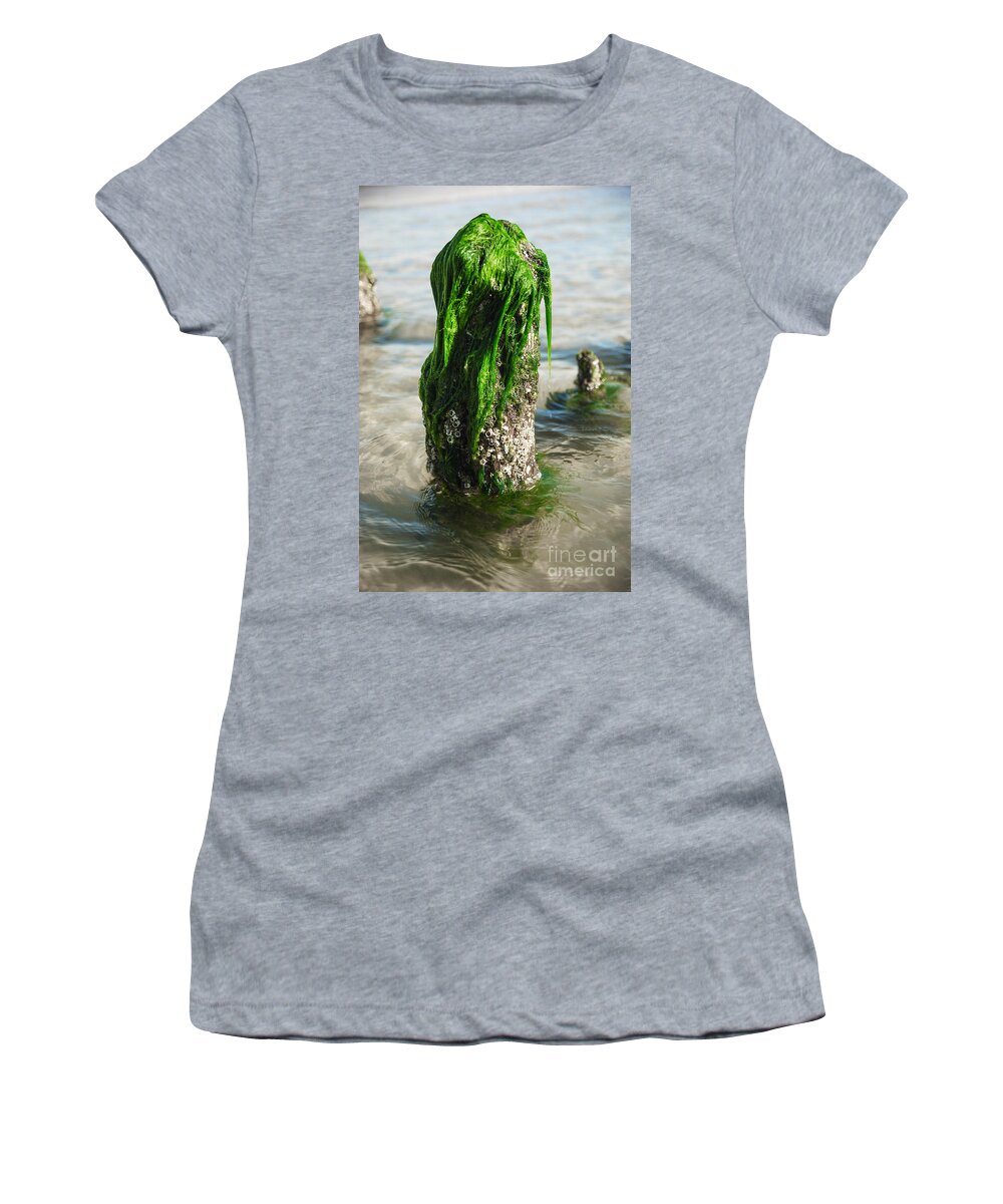 Alga Women's T-Shirt featuring the photograph The Green Jetty by Hannes Cmarits