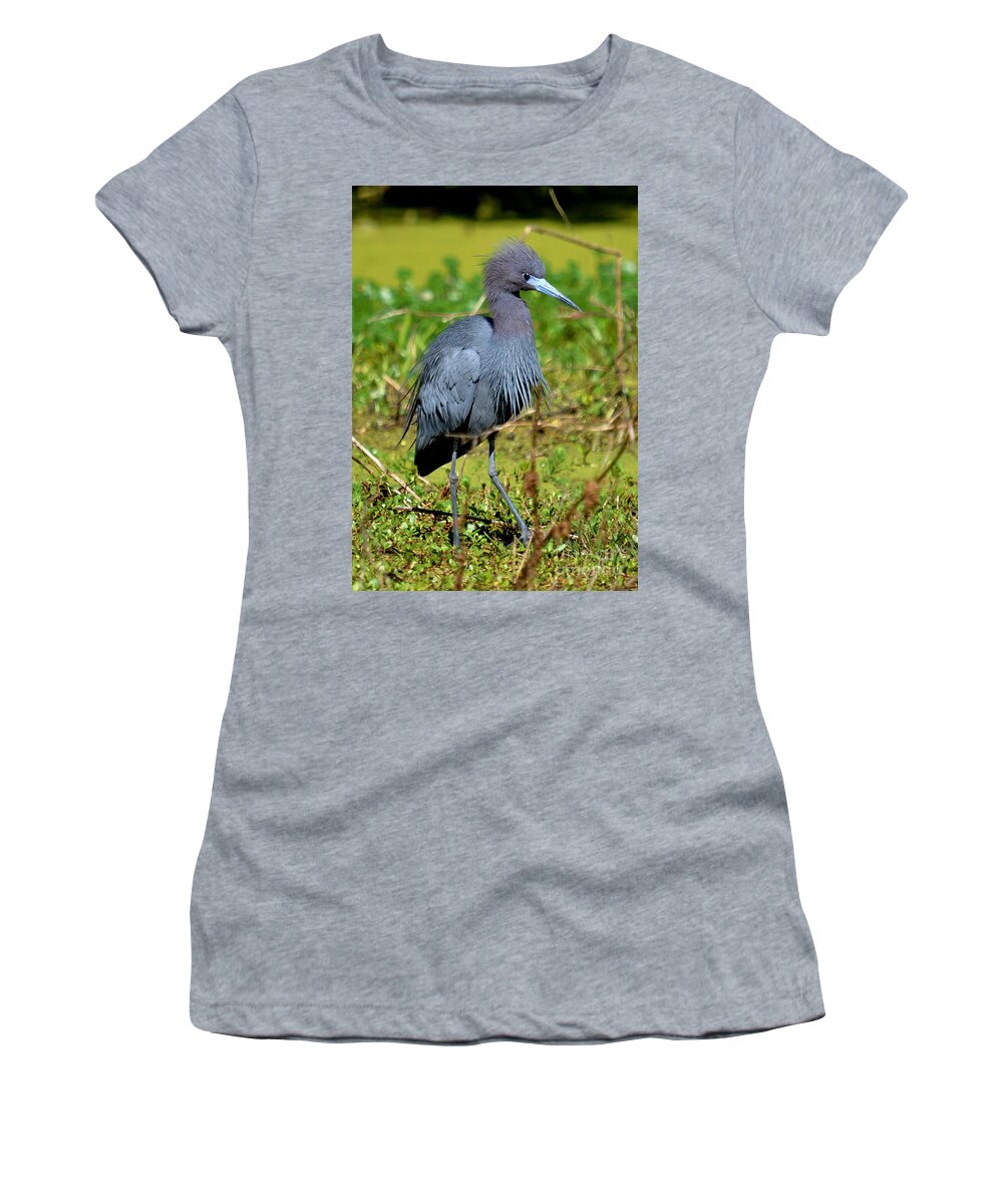 Heron Women's T-Shirt featuring the photograph The Little Blue Heron by Kathy Baccari