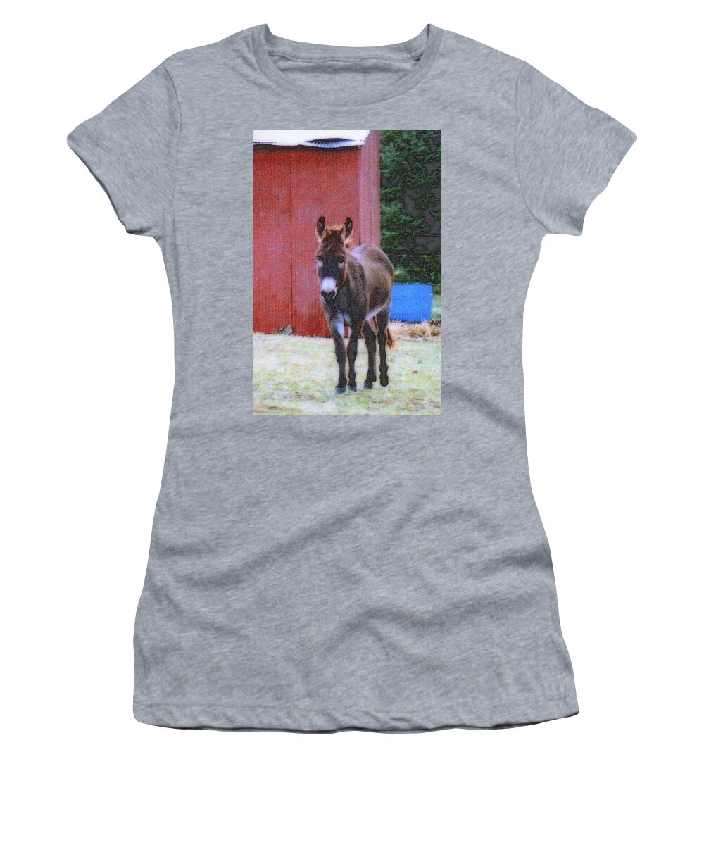 Nature Women's T-Shirt featuring the photograph The Lonely Donkey by Kay Novy