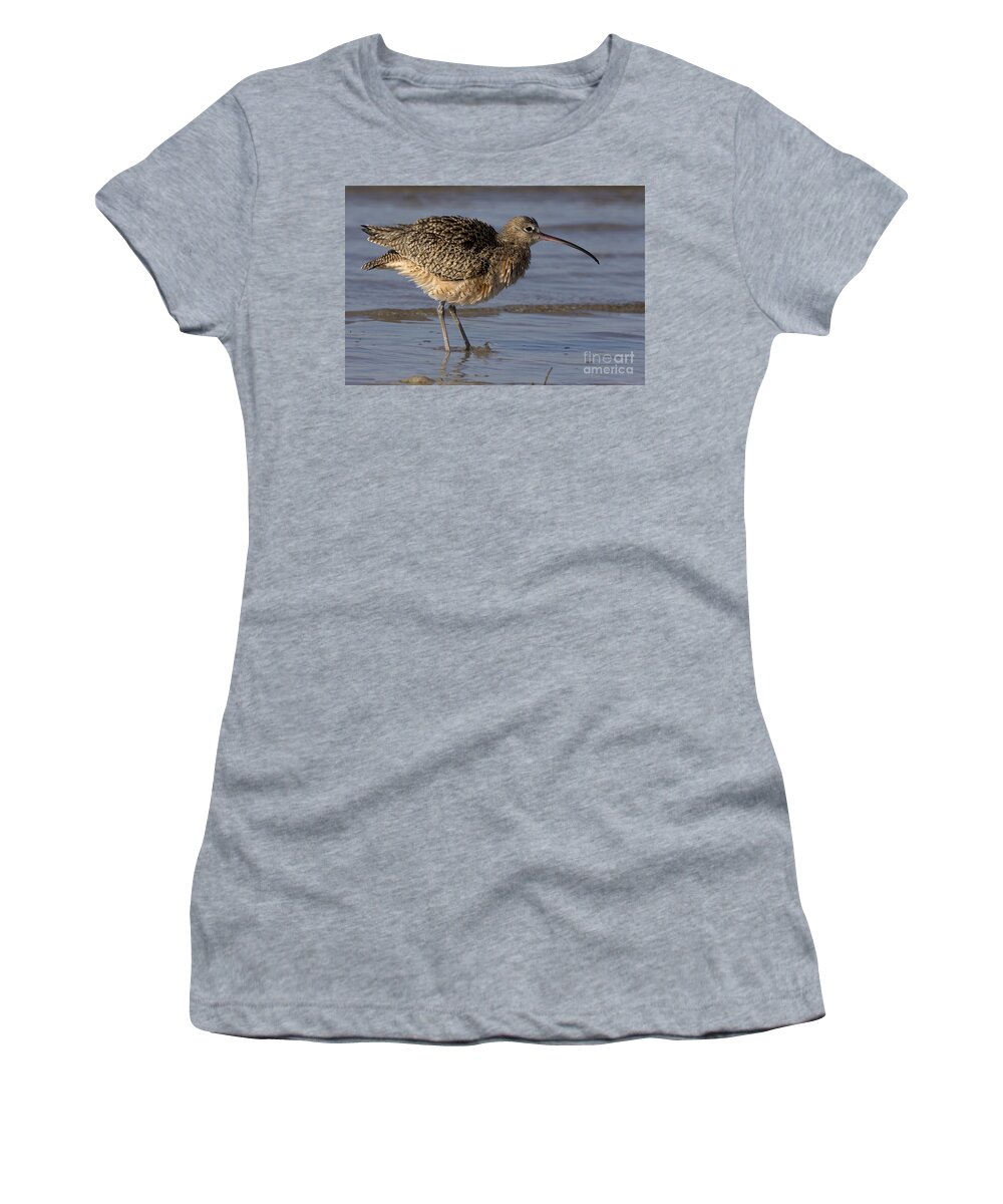 Long-billed Curlew Women's T-Shirt featuring the photograph The Long-billed Curlew Shake by Meg Rousher