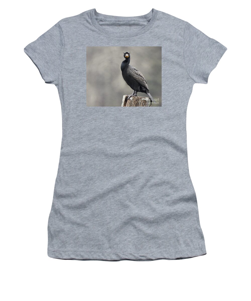 Maine Women's T-Shirt featuring the photograph The Look by Karin Pinkham