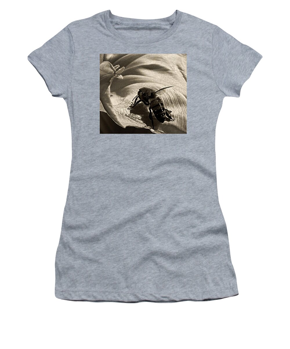 Nature Women's T-Shirt featuring the photograph The Pollinator by Chris Berry