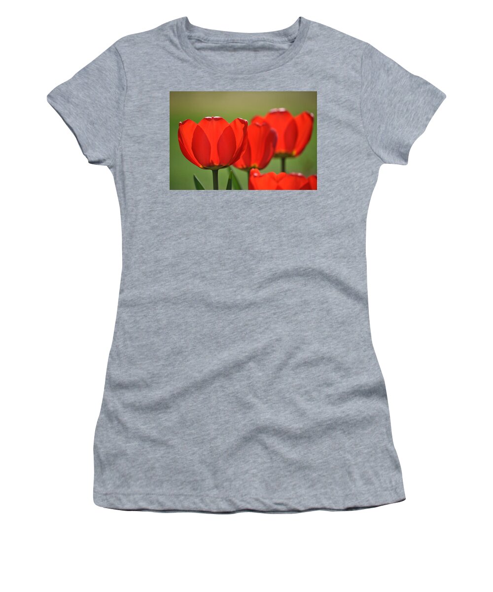 Easter Greeting Card Women's T-Shirt featuring the photograph The Red Tulips by Eric Liller