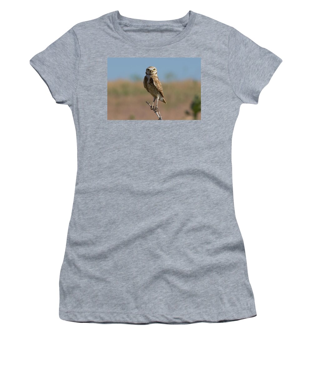 Owl Women's T-Shirt featuring the photograph The Stare of a Burrowing Owl by Tony Hake