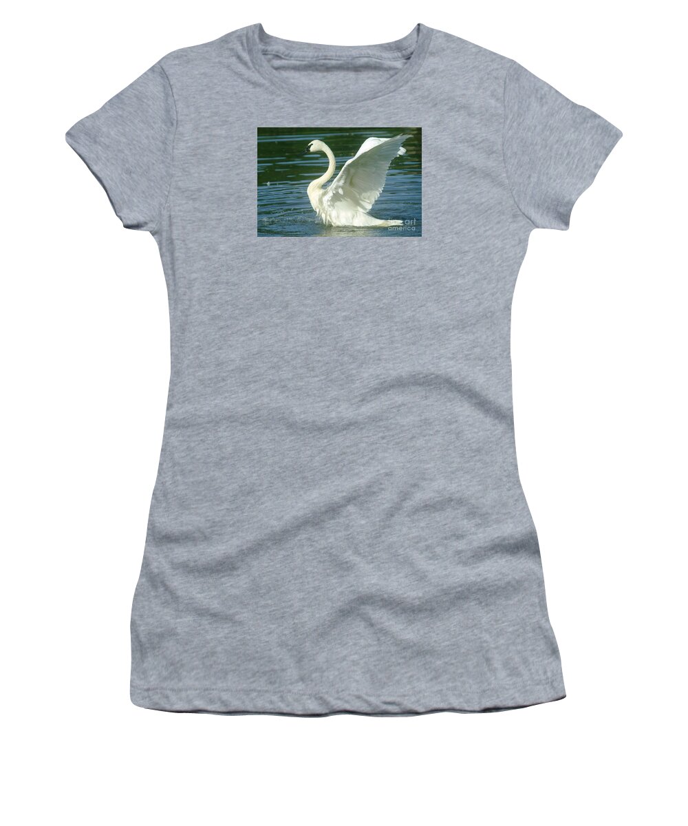 Swans Women's T-Shirt featuring the photograph The Swan Rises by Jeff Swan
