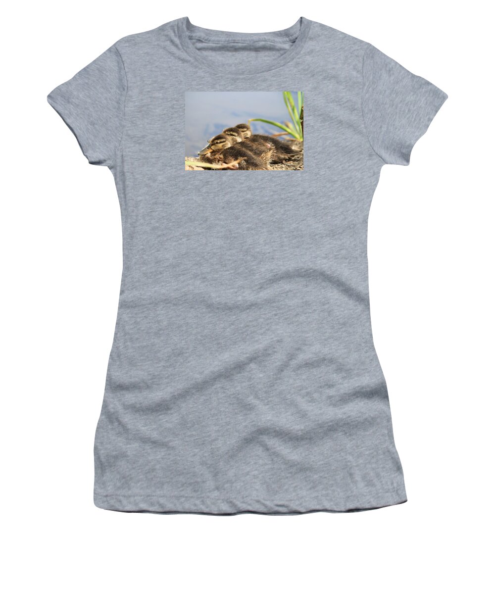 Baby Ducks Women's T-Shirt featuring the photograph The Three Amigos by Amy Gallagher