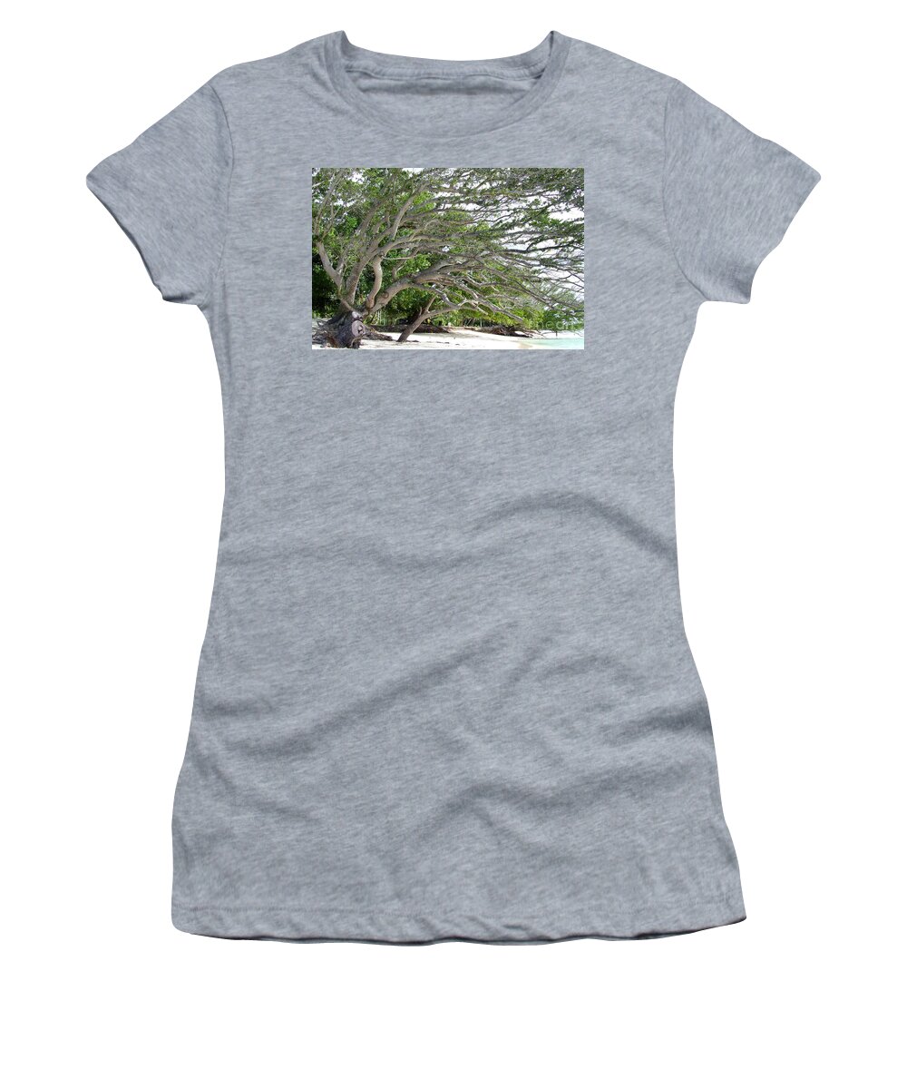 Big Tree Women's T-Shirt featuring the photograph The tree by Andrea Anderegg