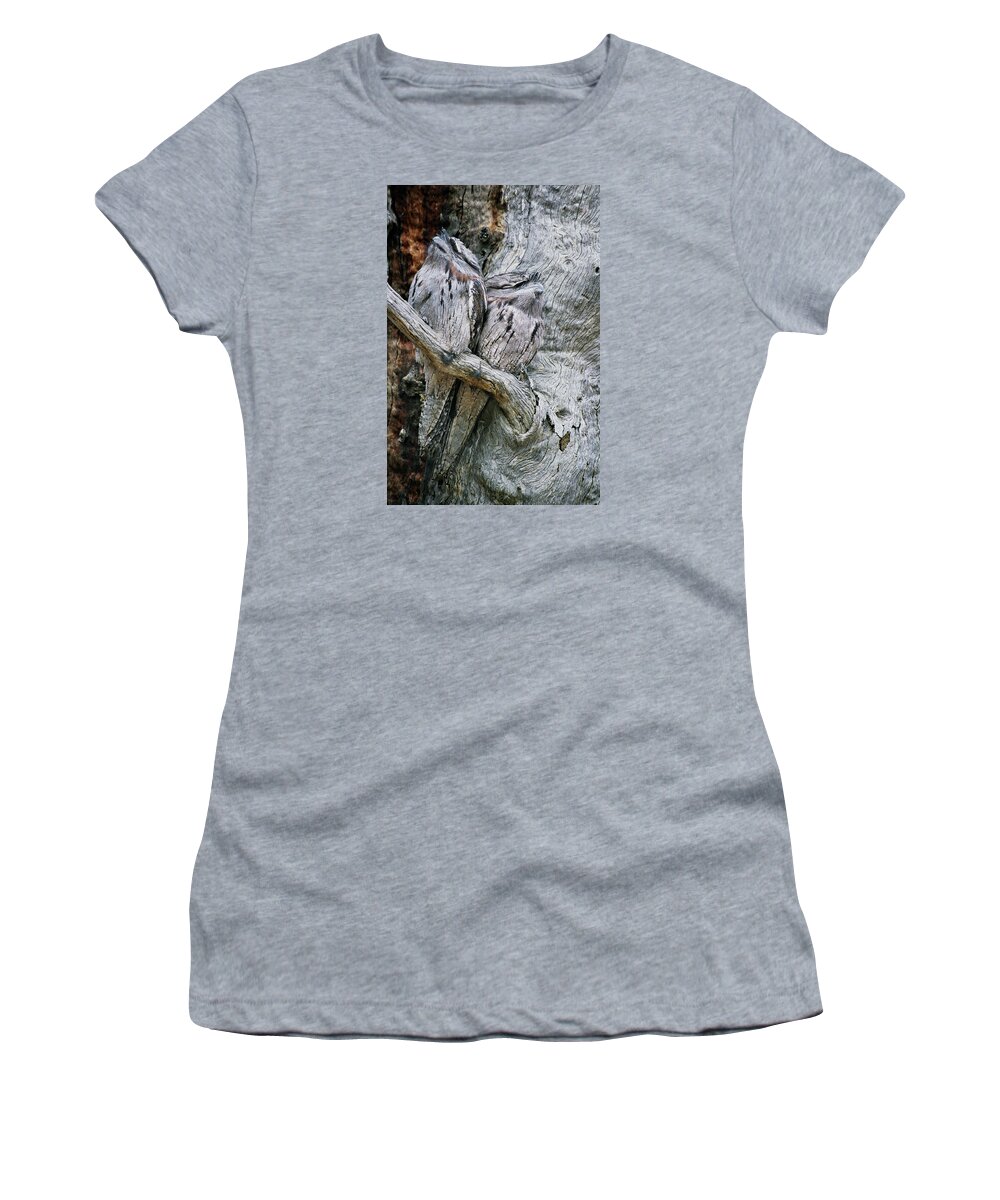 Tawny Frogmouth Women's T-Shirt featuring the photograph The Two Of Us by Robert Caddy