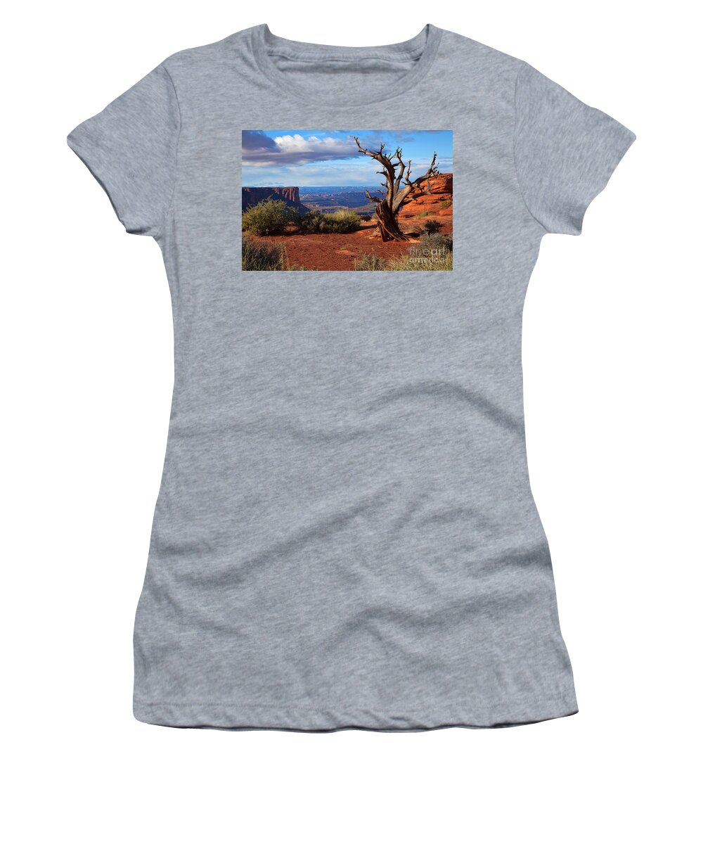 Canyonlands Women's T-Shirt featuring the photograph The Watchman by Jim Garrison