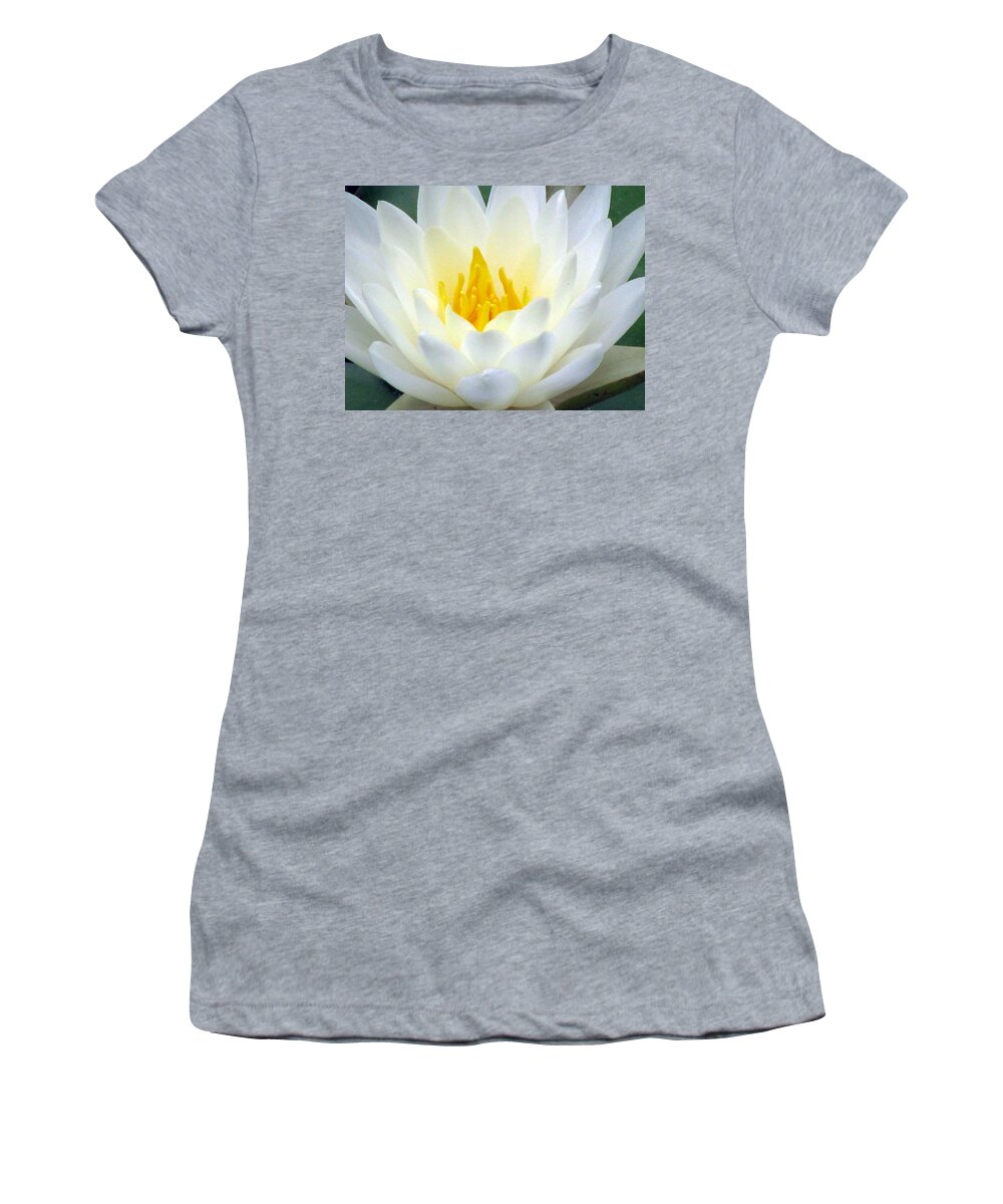 Water Lilies Women's T-Shirt featuring the photograph The Water Lilies Collection - 05 by Pamela Critchlow