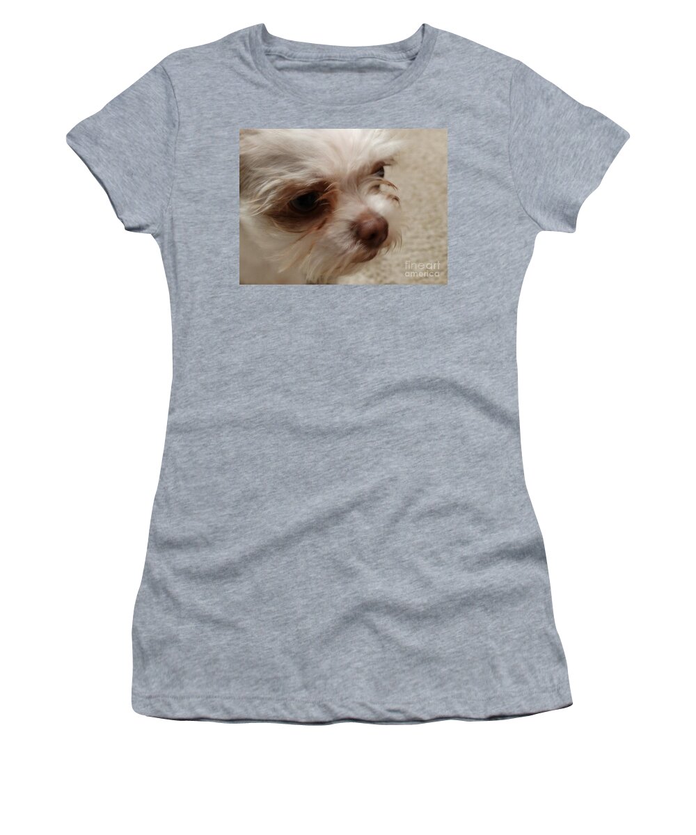 Toy Lhasa Apso Women's T-Shirt featuring the photograph Those Eyes by Joseph Baril
