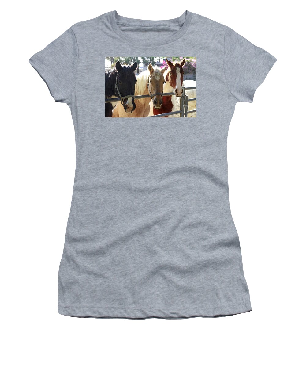 Horses Women's T-Shirt featuring the photograph Three Amigos by Shoal Hollingsworth