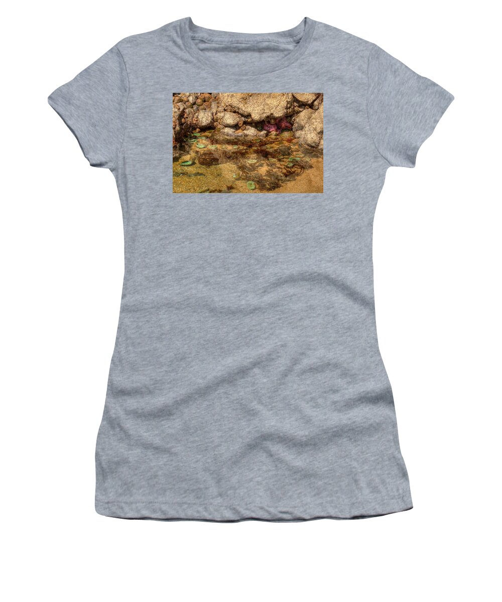 Anemones Women's T-Shirt featuring the photograph Tidal Treasures 0019 by Kristina Rinell