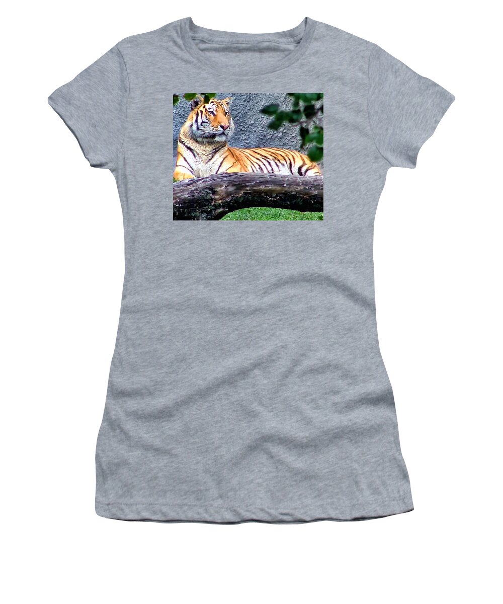Tiger Women's T-Shirt featuring the photograph Tiger 1 by Dawn Eshelman