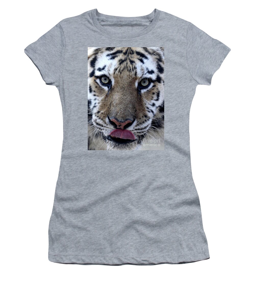 Cat Women's T-Shirt featuring the photograph Tiger Lick by Karol Livote