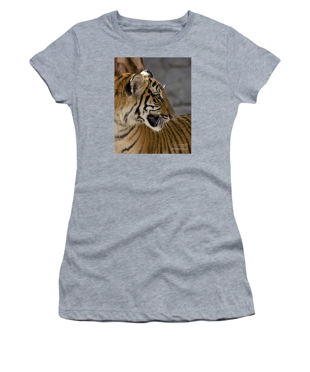 Tiger Women's T-Shirt featuring the photograph Tiger Profile by Carol Bradley