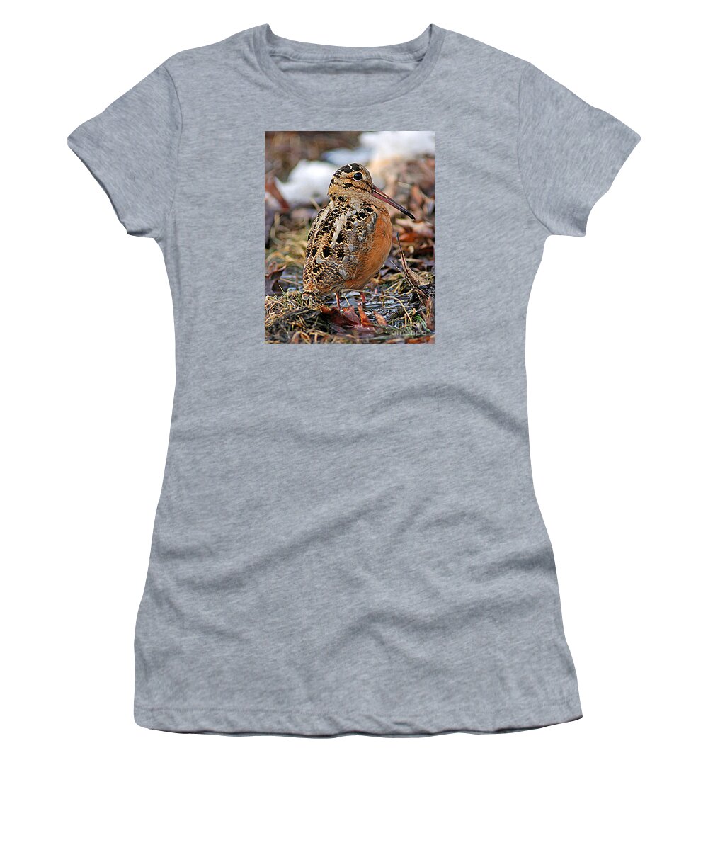 Woodcock Women's T-Shirt featuring the photograph Timberdoodle the American Woodcock by Timothy Flanigan