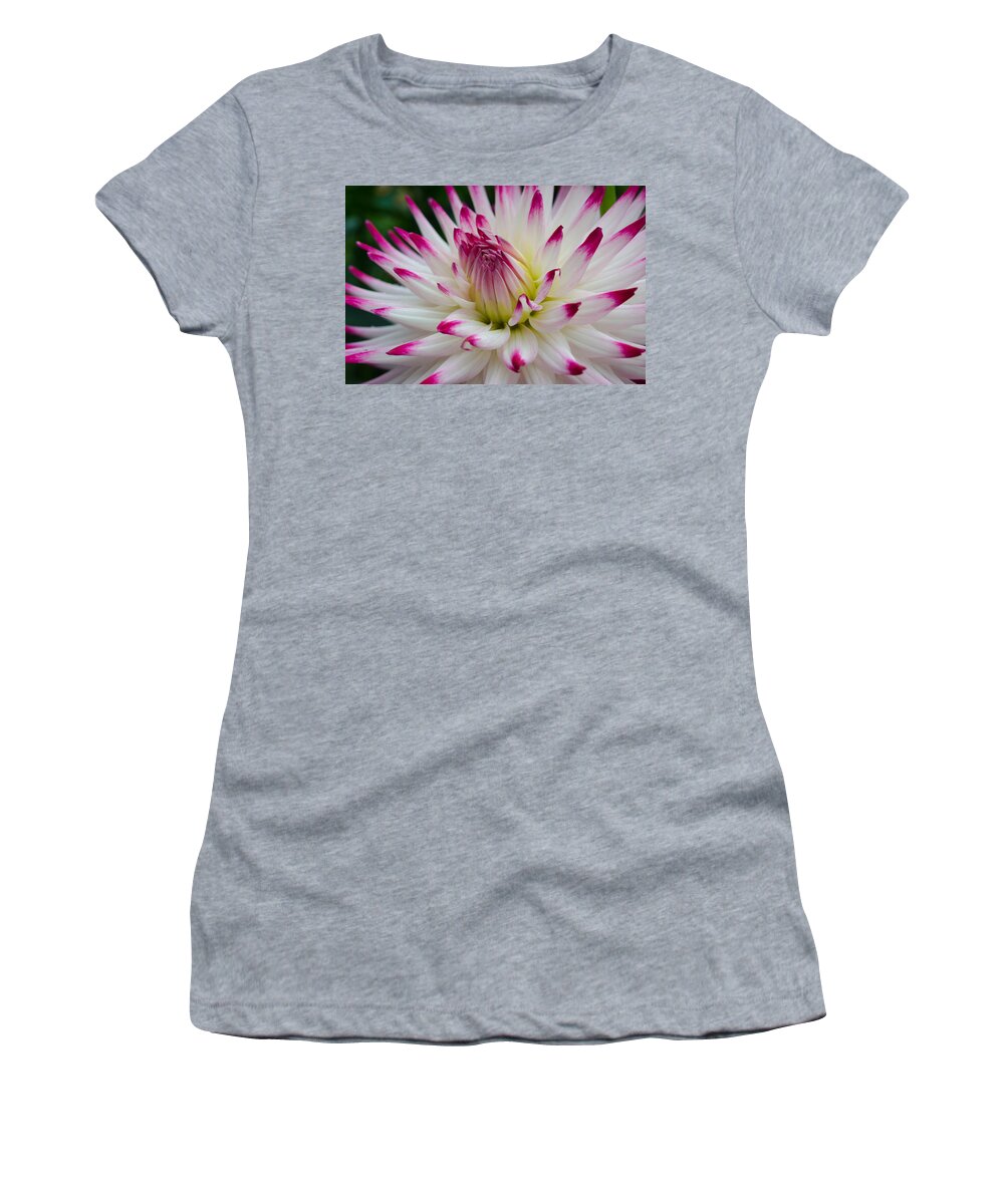 Dahlia Women's T-Shirt featuring the photograph Tips by Kathy Paynter