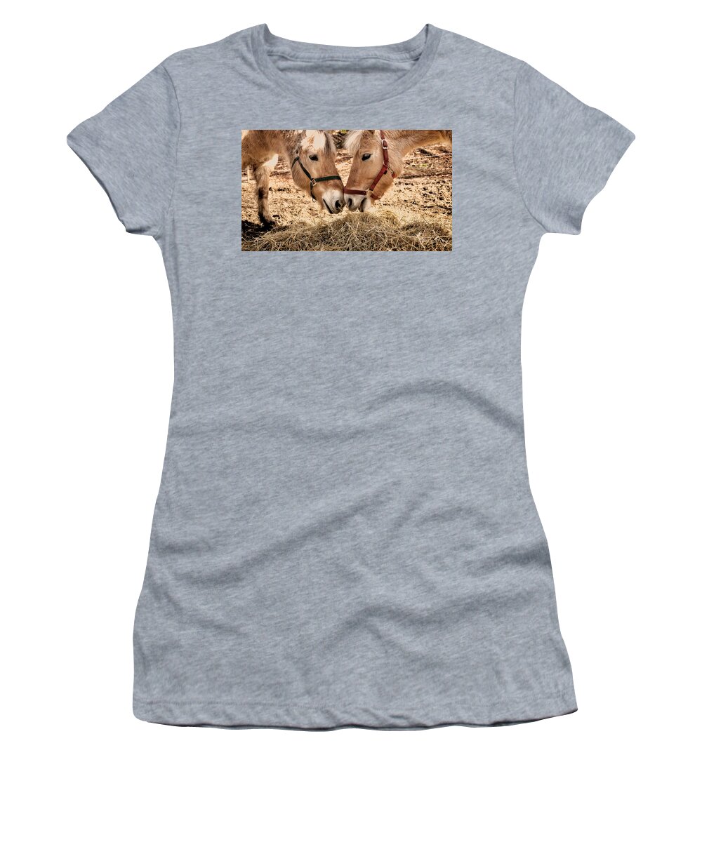 Horses Women's T-Shirt featuring the photograph Two horses by Mike Santis