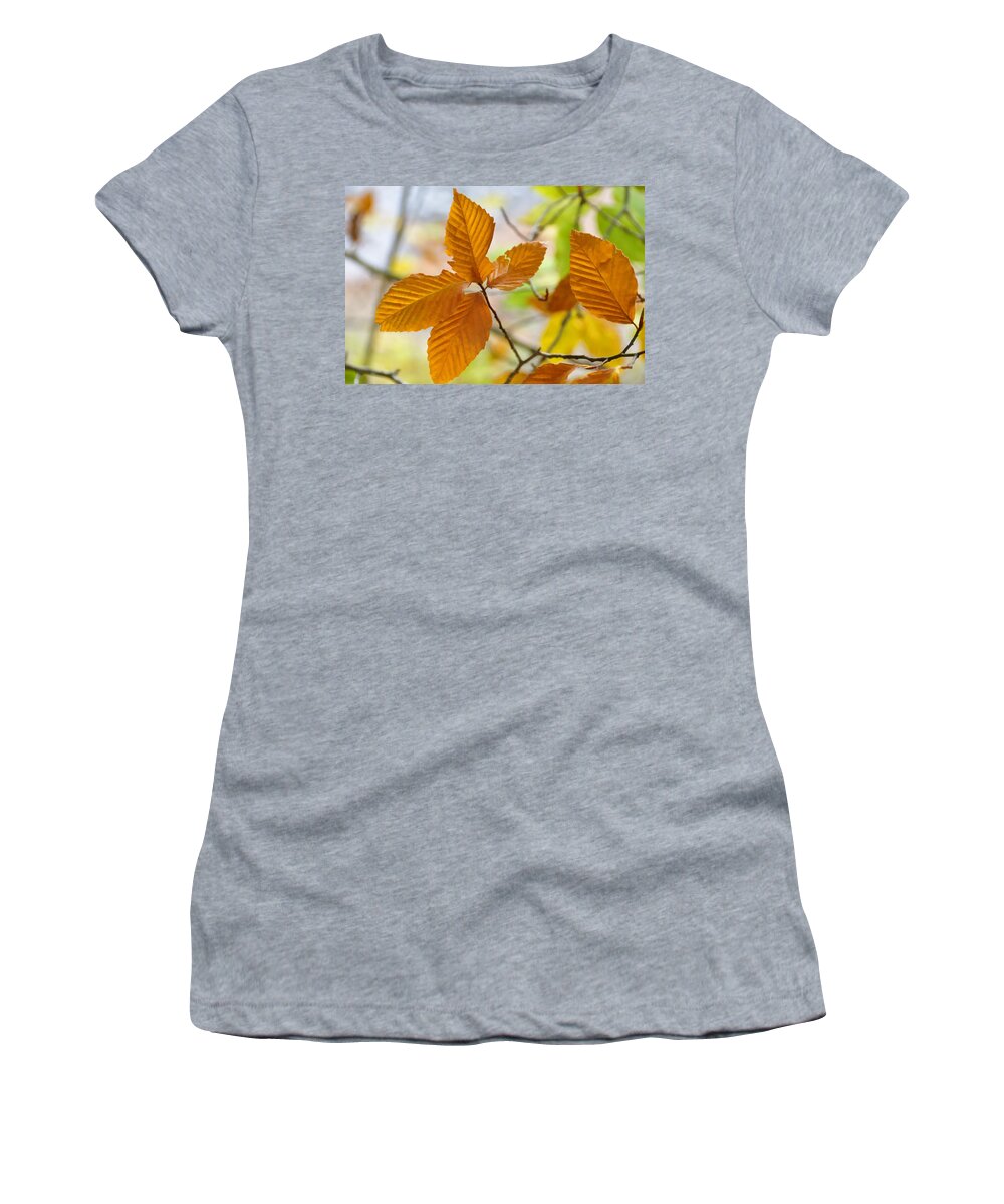 Still Life Women's T-Shirt featuring the photograph Touch Of Gold by Jan Amiss Photography