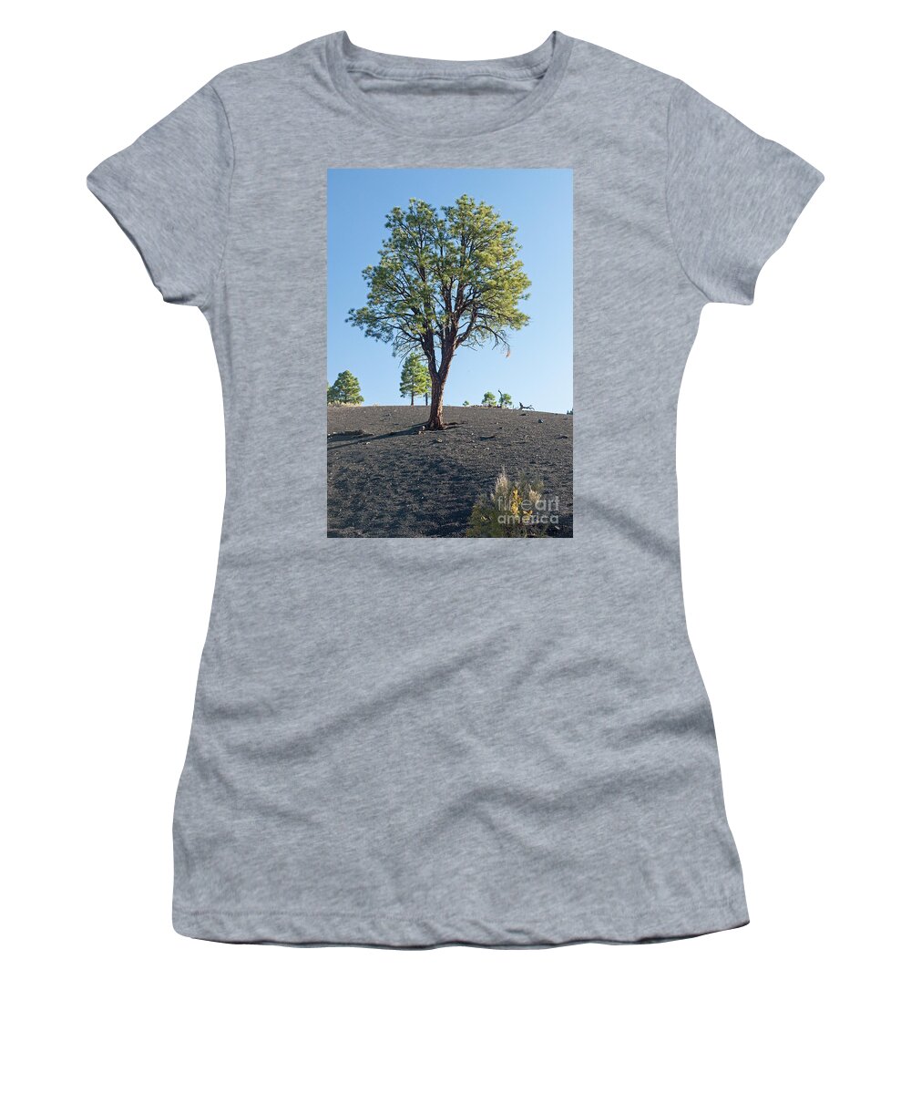 Arizona Women's T-Shirt featuring the photograph Tree Growing in Ash in Sunset Crater Volcano National Monument by Fred Stearns