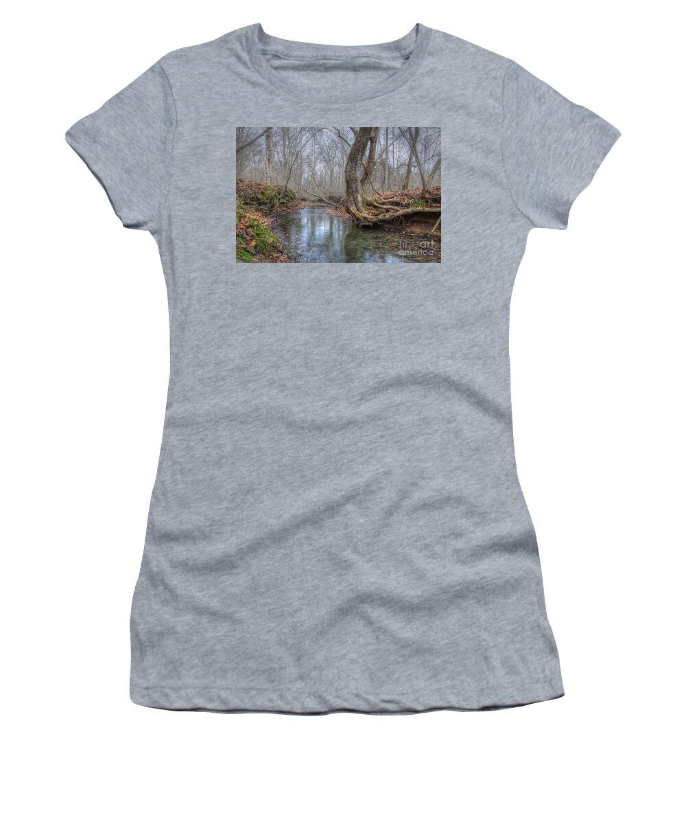 Fog Women's T-Shirt featuring the photograph Tree Over a Stream by Larry Braun
