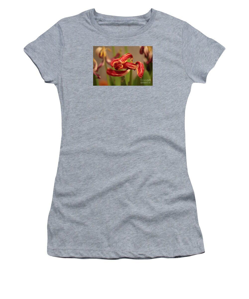 Tulip Women's T-Shirt featuring the photograph Tulip by Ann E Robson