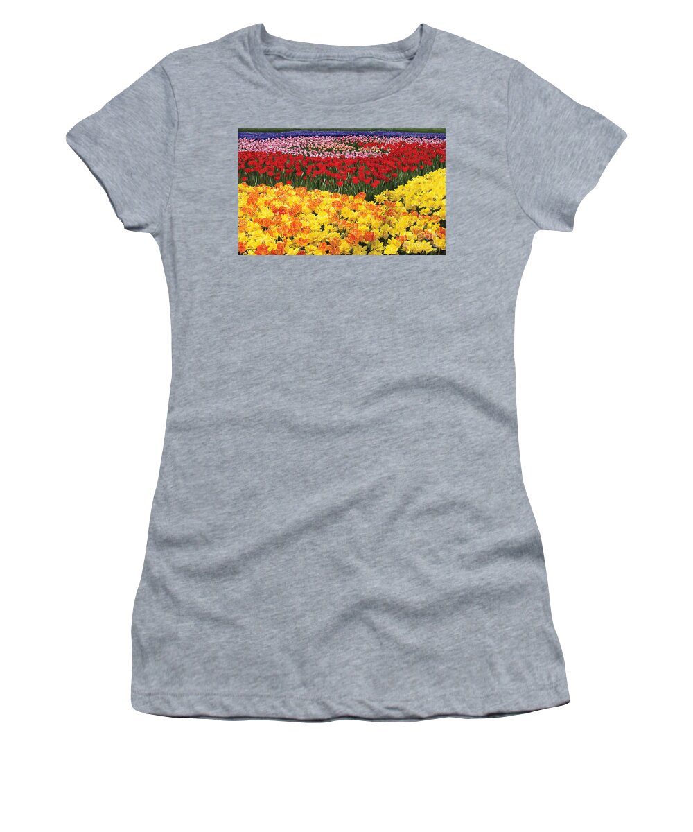 Tulip Women's T-Shirt featuring the digital art Tulip Field by Tim Gilliland