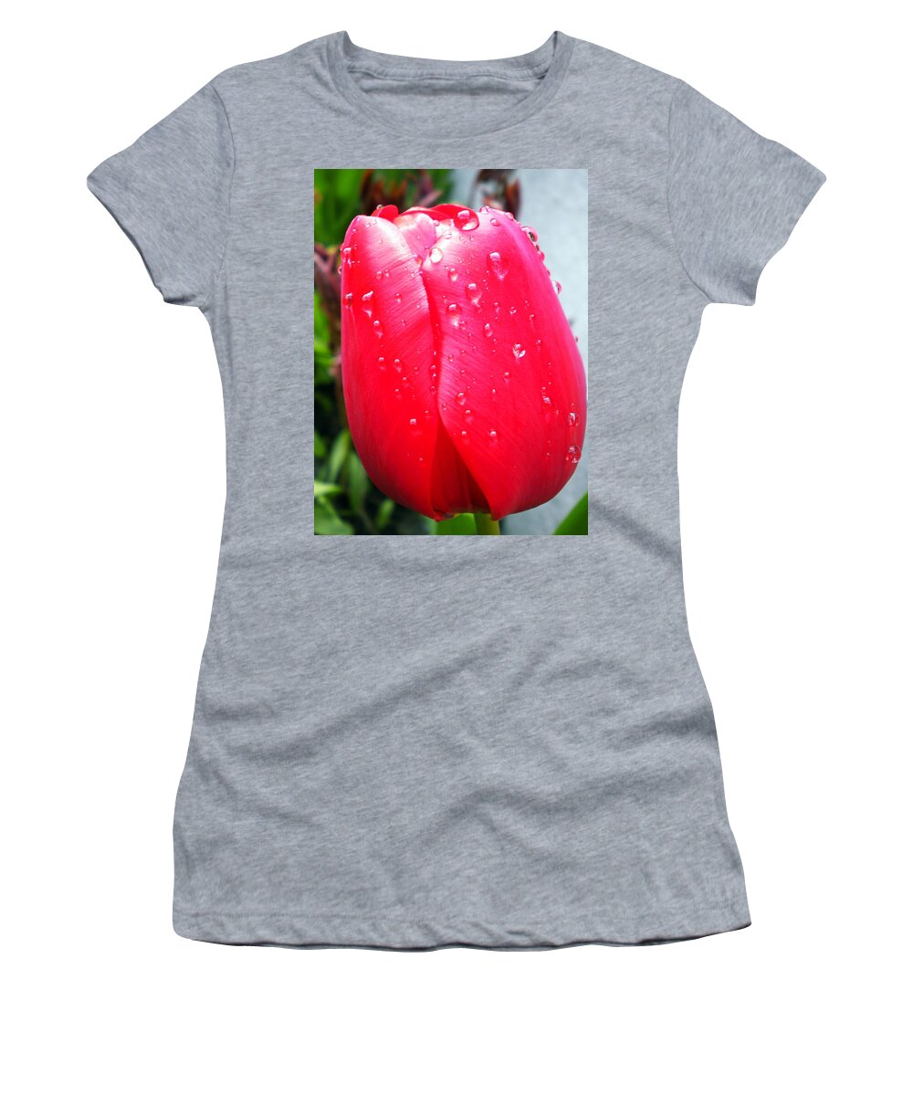Coletteguggenheim Women's T-Shirt featuring the photograph Tulip flower Rain Drops by Colette V Hera Guggenheim