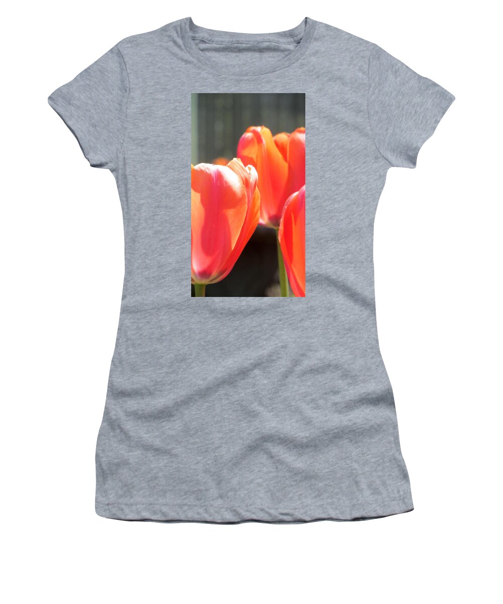 Tulip Women's T-Shirt featuring the photograph Tulips Backlit 4 by Anita Burgermeister