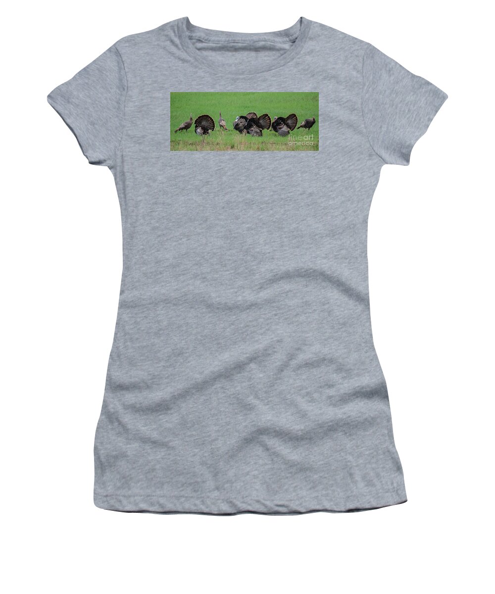 Landscape Women's T-Shirt featuring the photograph Turkey Mating Ritual by Cheryl Baxter