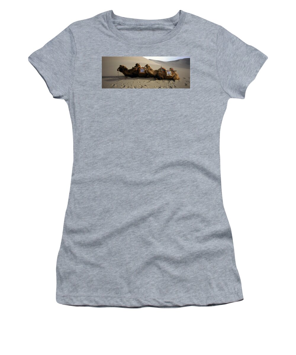 Photography Women's T-Shirt featuring the photograph Two Camels Sitting In A Desert by Animal Images