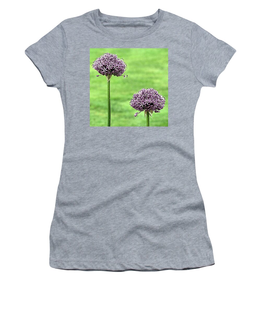 Purple Sensation Alliums Women's T-Shirt featuring the photograph Two Purple Sensation Alliums by Janice Drew