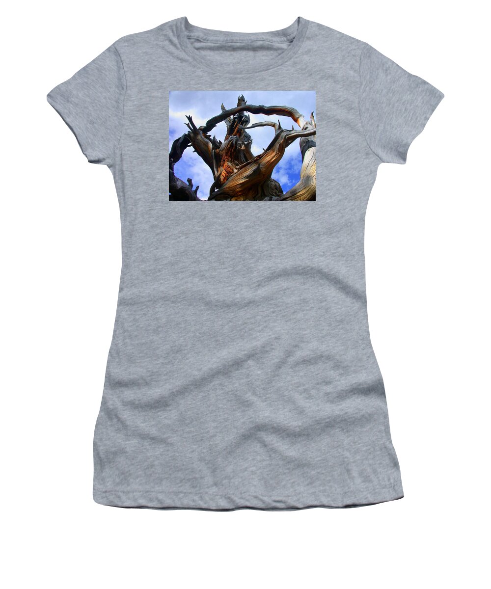 Tree Roots Women's T-Shirt featuring the photograph Uprooted Beauty by Shane Bechler