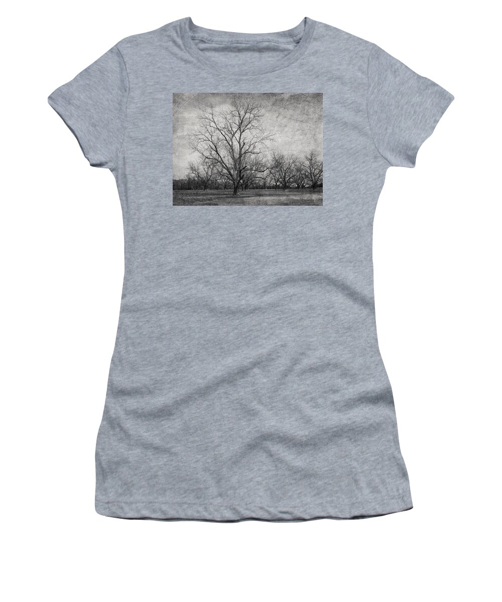 Tree Women's T-Shirt featuring the photograph Waiting by Kim Hojnacki