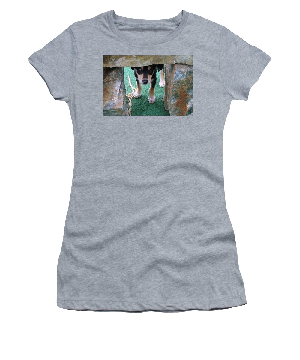 Sled Dogs Women's T-Shirt featuring the photograph Wannabe Sled Dog In The Yukon by Rick Rosenshein